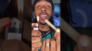 Turtle Pie Co. Gelato X Strain Review 005