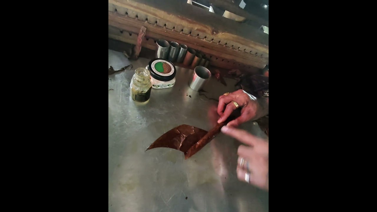 Adam failing at rolling a cigar #cigar #rolling #fail #tortola #cruise #pov #caribbean #learning