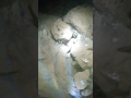 La cueva de Agapito treviño  se localiza 20 mts abajo de la principal escucha el minuto 6:57