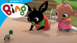 Bing En Sula Voeren Eendjes In Het Park  Bing Nederlands