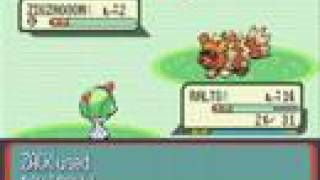 Episode 10: A Shiny Zigzagoon