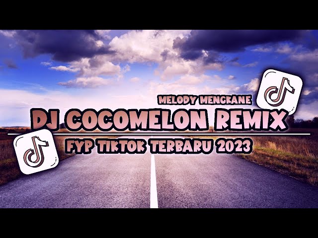 DJ COCO MELON REMIX TERBARU 2023 VIRAL YANG KALIAN CARI | COVER DJ BY ZENO REMX class=