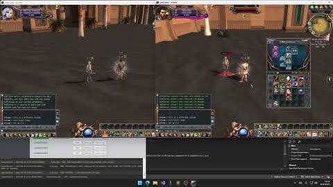 LastChaos Allow Items by Zones (Use Block/Remove on Teleport) PoC