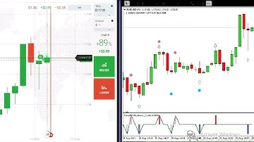 Best Binary Option Indicator 2021 // Best MT4 indicator 2021 Download-NP Boy Trading