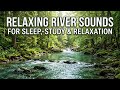 River Sounds Relax Nature Forest River Gentle Stream 🌱 White Noise Deep Sleep Calm