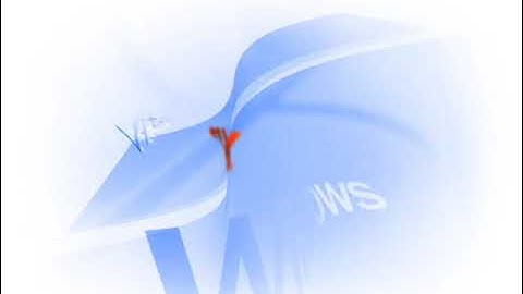 Windows xp intro.wmv