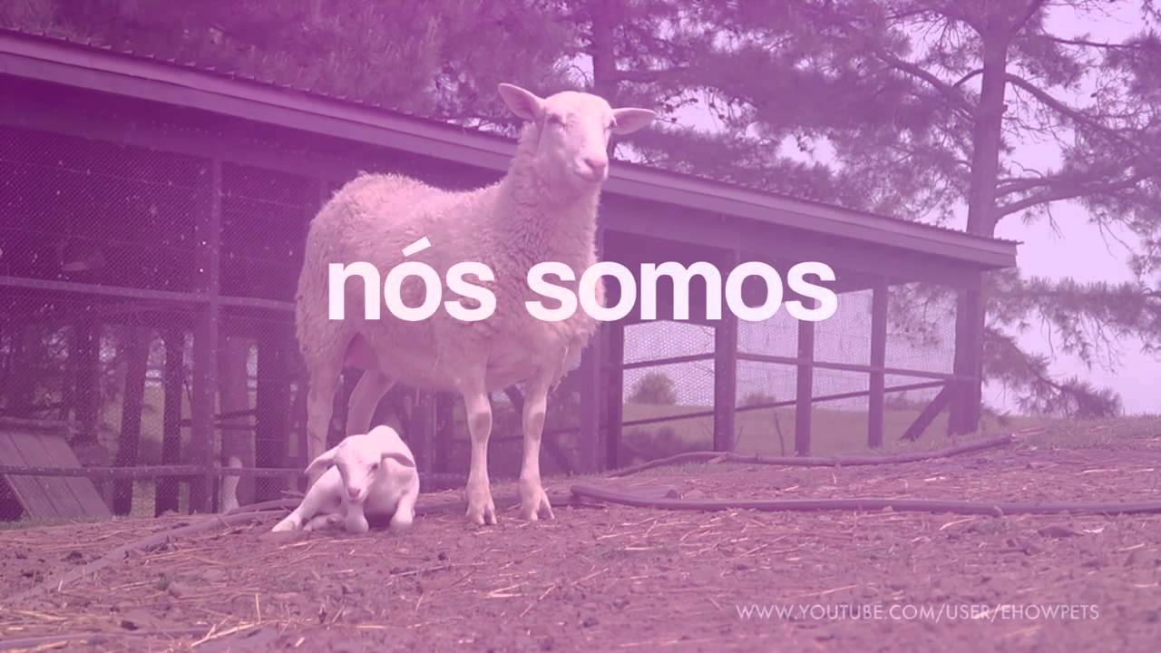 vegan meals Um vídeo para todas as mães