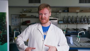 Magic of Water -  Phenomenal Physics