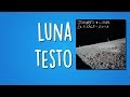 Luna (TESTO) - Jovanotti