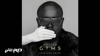 Maître Gims - Skyfall