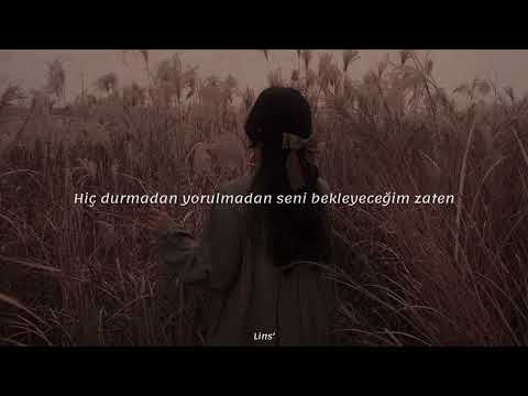 Soner Sarıkabadayı ~ Sadem (Sözleri)