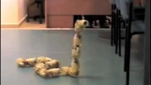 Hyper redundant snake robot - in motion