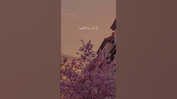 {فنادى في الظلمات ان لا اله الا انت سبحانك اني كنت من الظالمين} القارئ اسلام صبحي