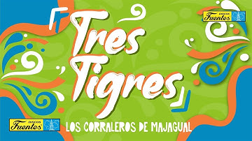 Los Corraleros de Majagual / Tres Tigres [ Discos Fuentes ]