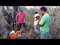 Seu mané tem medo do leão e sobe nas costas dos meninos.