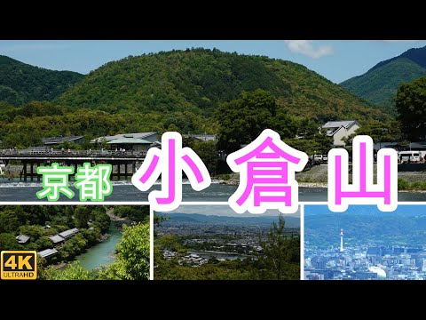 【未開封】丸久小山園 「青嵐」＋山政小山園「小倉山・先陣の昔」　4点セット 嵐山なんてずうずうしい？ 武蔵嵐山渓谷の紅葉～小倉城跡～仙元