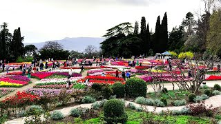 В Никитском ботаническом саду парад тюльпанов