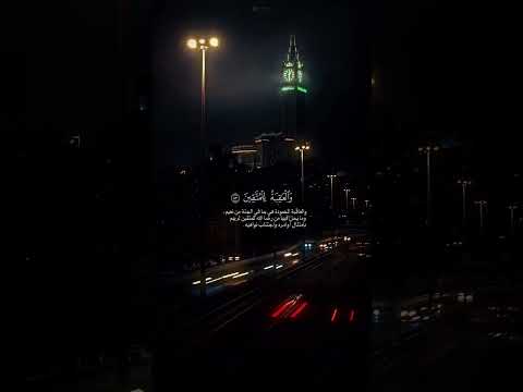 تلك الدار الآخرة نجعلها للذين لا يريدون علوا في الأرض تلاوة خاشعة من سورة القصص قارئ ماهر المعيقلي