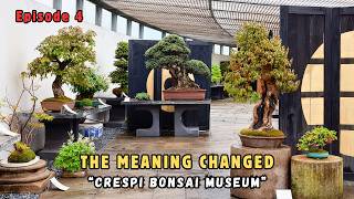 Inside Crespi Bonsai Museum | Why Bonsai Changed Outside Japan