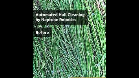 Neptune robots perform inspection and cleaning of hulls in zero visibility conditions#hullcleaning