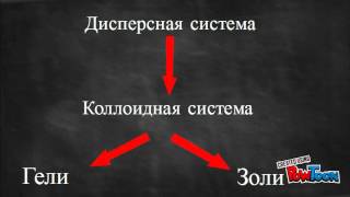 Коллоидные системы Коллоидные системы