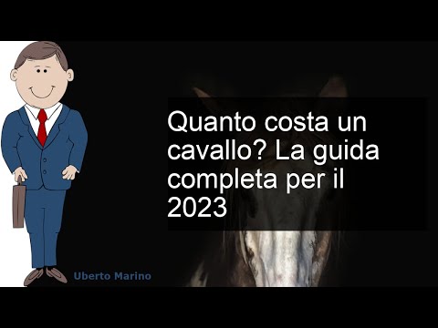 Video: Domande frequenti: Come affittare un cavallo