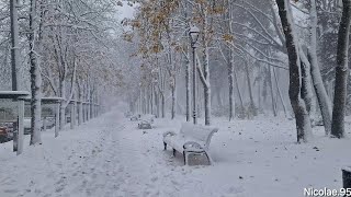 Magia Crăciunului | Crăciun cu zăpadă anul acesta | Ninge ca în povesti de Crăciun 2023