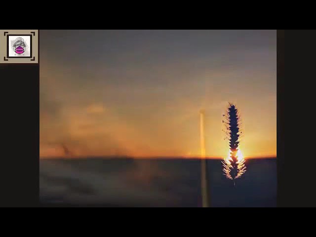 كذبةِ إبريل الإمامُ ابنُ عُثيمين -رحمهُ اللهُ-