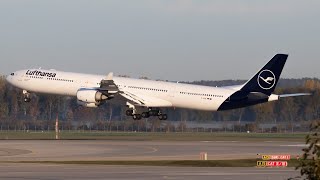 Lufthansa DLH111 | Munich - Frankfurt | Toliss A340-600 | X-Plane 12 | Vatsim