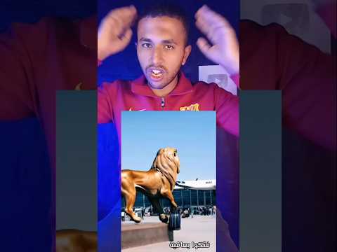 لحظه هروب أسد قصر النيل  اكسبلور