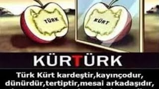 Kürtler Ve Türkler Kardeşidir? Kan Bağı Varımdır? Şengör I Çı