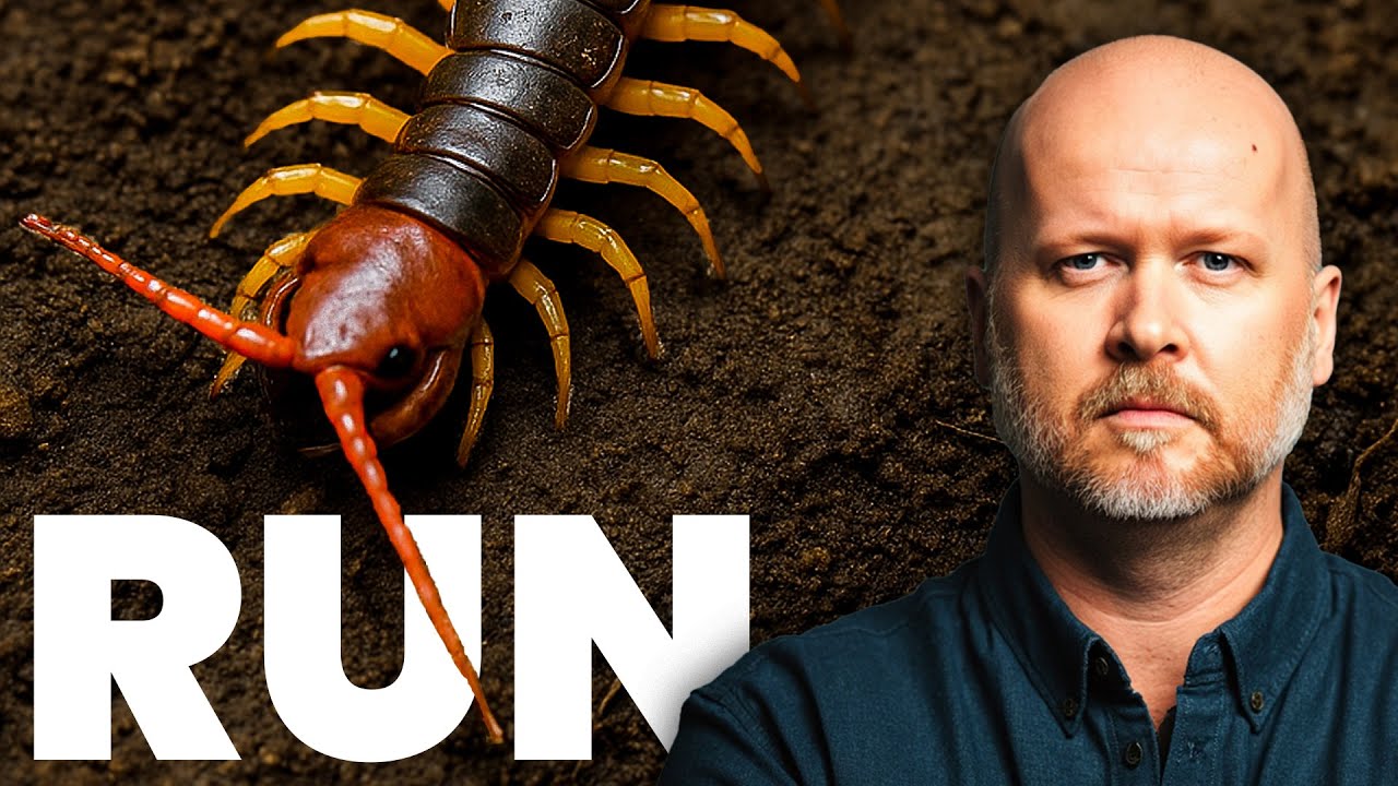 What Nobody Tells You About Bangkok’s Wild Side