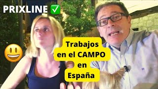 PRIXLINE ✅ TRABAJO en PUEBLOS 🏡 de España 🇪🇸 2 ¿Cuánto dinero se gana? ¿Qué Zonas mejor?