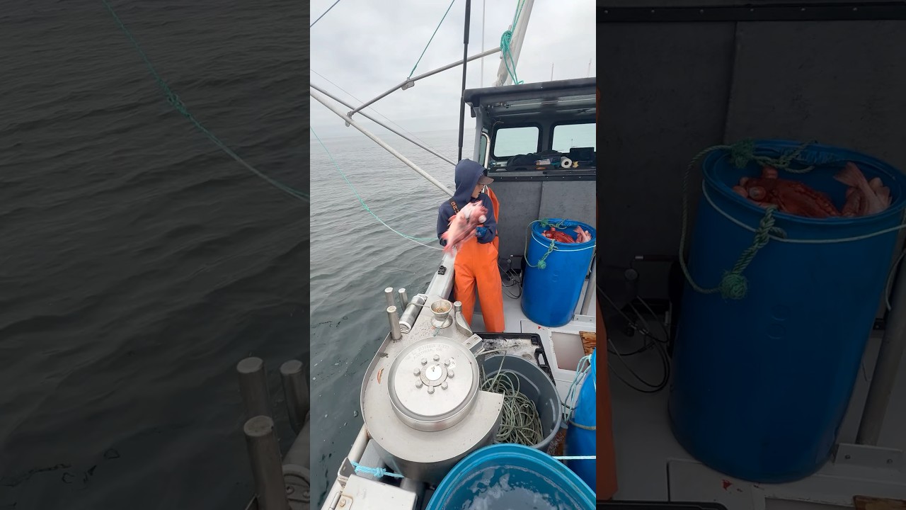 13 Y/O Commercial Fisherman 