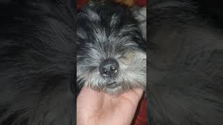 .... Ana Tickling Tickling