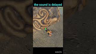 the sound is delayed     #zelda #botw #speedrun #glitchmoments