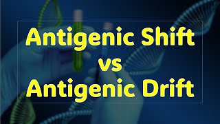 Antigenic Shift vs Antigenic Drift