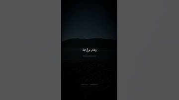 وَهِيَ تَجري بِهِم في مَوجٍ كَالجِبالِ | محمد صديق المنشاوي | سورة هود