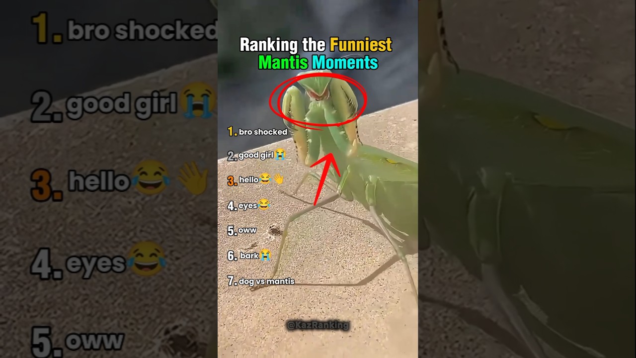 Ranking the Funniest Mantis Moments 