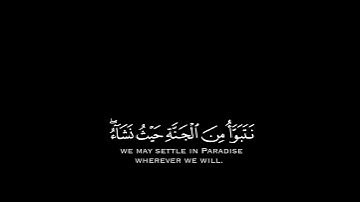 34# تلاوة هادئة وقصيرة { بخلفية سوداء } || القارئ : عمر الدريوز  || سورة : الزمر 🌷💚🌷