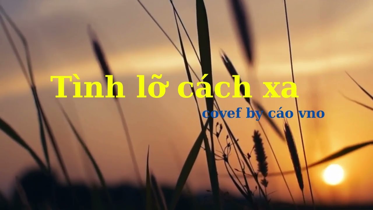 Video YouTube