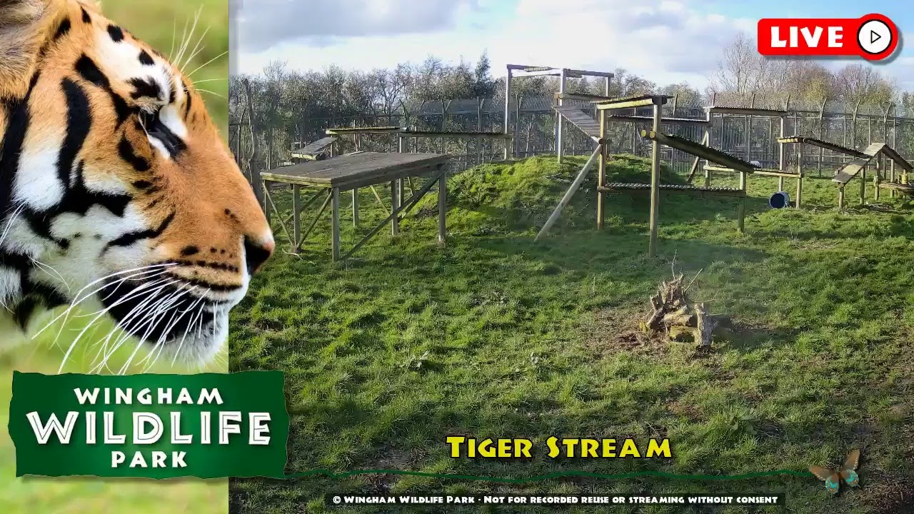 Wingham Wildlife Park