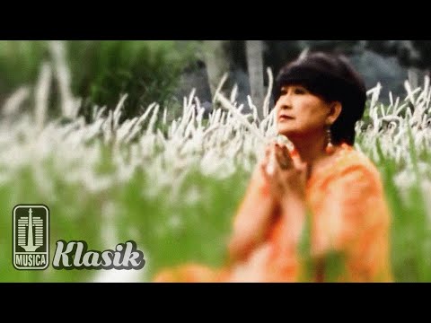 Video: Bunga Padang Rumput Yang Indah. Reproduksi, Perawatan