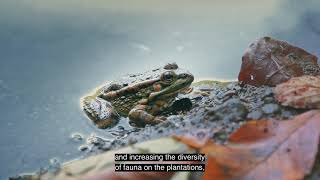 European Tropical Agriculture - Trailer Crowdfarming