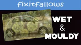 Fiat 500 mould, damp & water filled wheel well