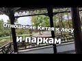 Отношение китайцев к своему лесу и паркам. Пошемашим