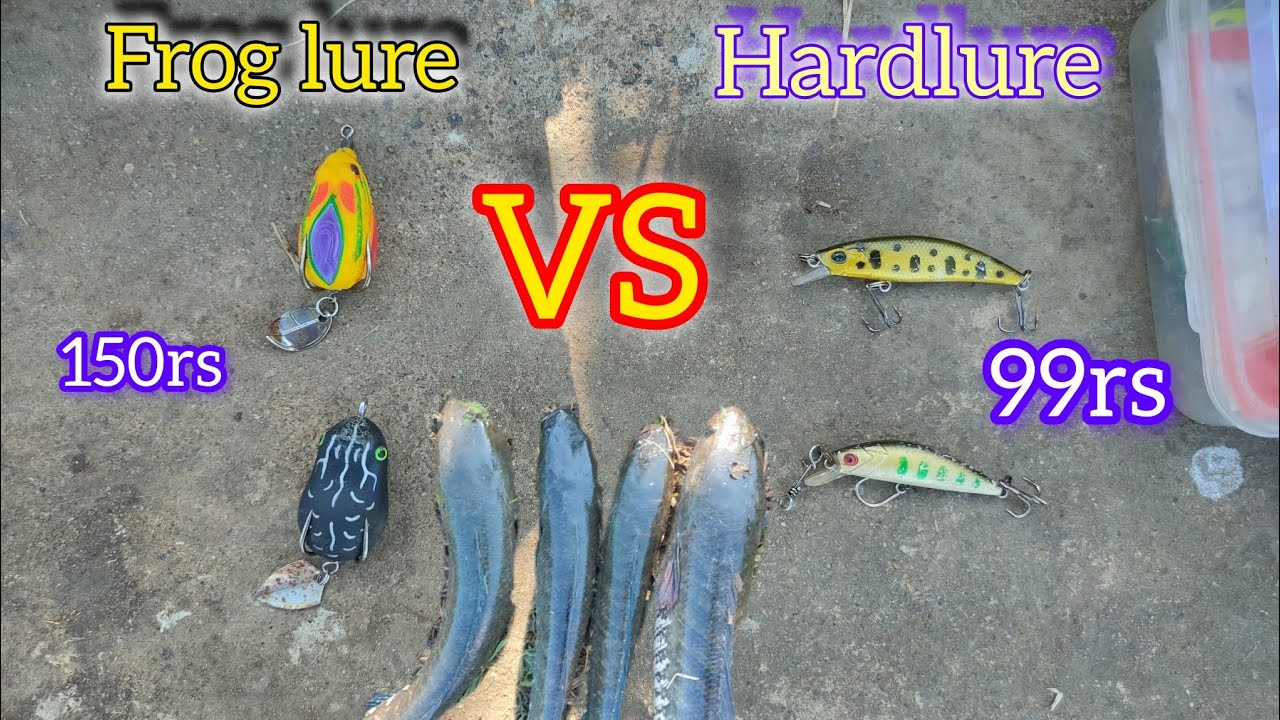 Frog lure VS hardlure beginner snakehead fishing #snakehead