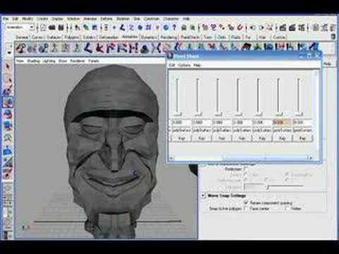 Face Setup Tutorial 2