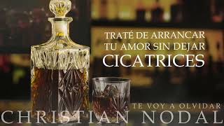 Christian Nodal - Te Voy A Olvidar (karaoke)