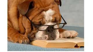 Paralegal Practice Tip: Client Interviews